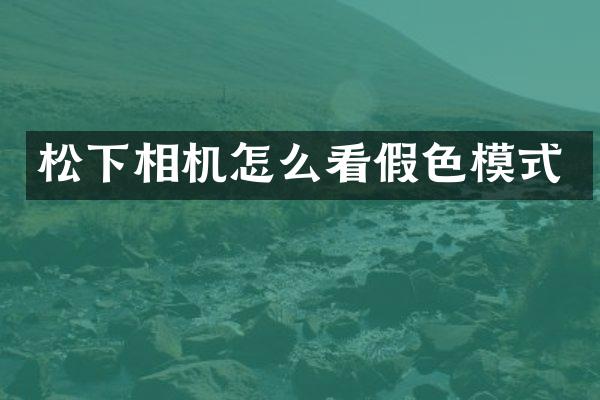 相机怎么看假色模式