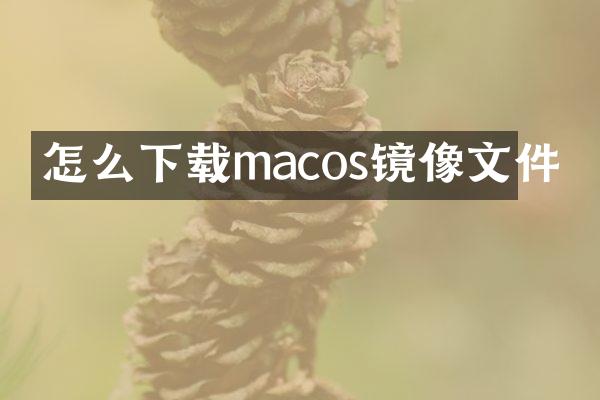 怎么下载macos镜像文件