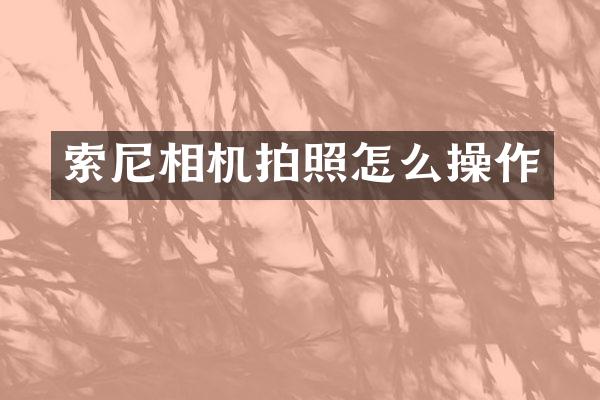 相机拍照怎么操作