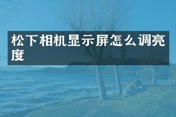 相机显示屏怎么调亮度