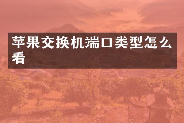 苹果交换机端口类型怎么看