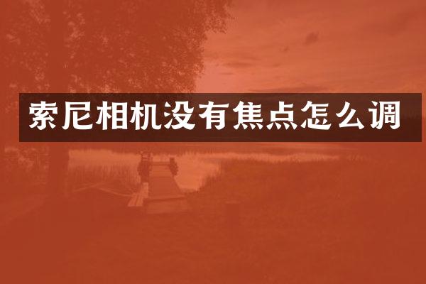 相机没有焦点怎么调