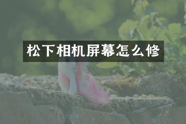 相机屏幕怎么修