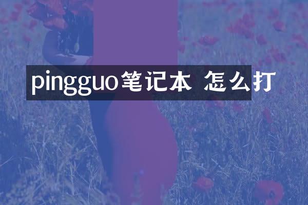 pingguo笔记本 怎么打