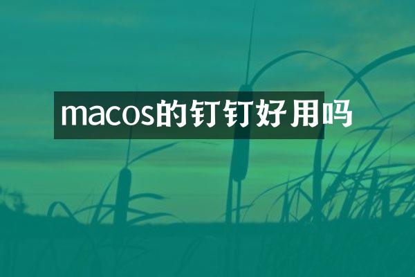 macos的钉钉好用吗