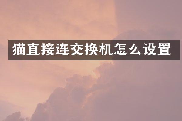 猫直接连交换机怎么设置