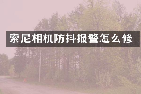 相机防抖报警怎么修