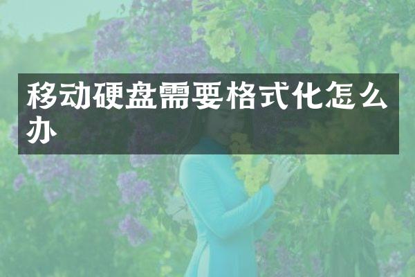 移动硬盘需要格式化怎么办