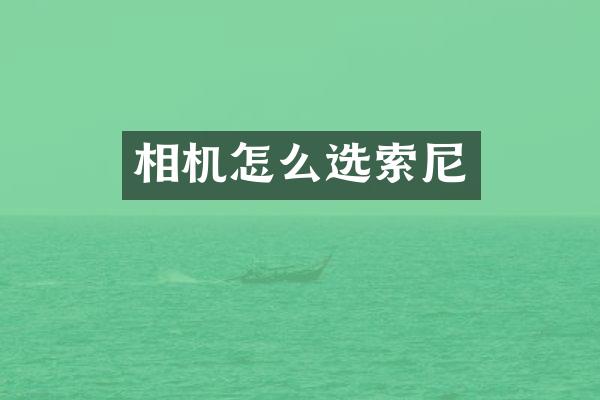 相机怎么选