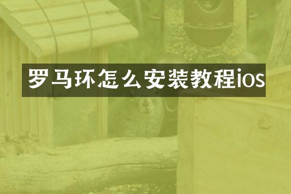 罗马环怎么安装教程ios