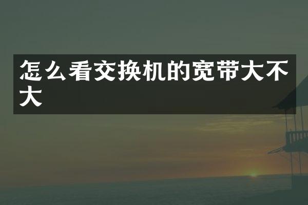 怎么看交换机的宽带大不大