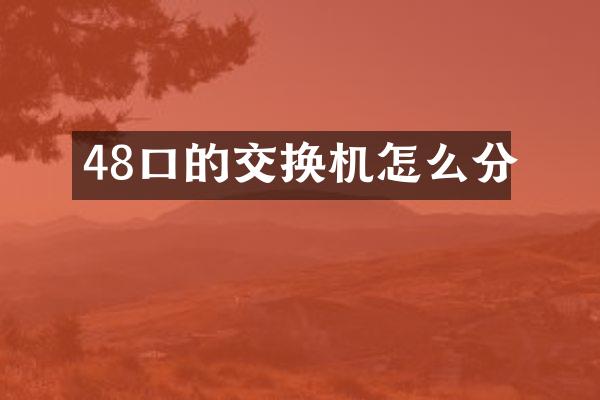 48口的交换机怎么分