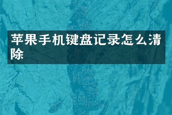 苹果手机键盘记录怎么清除