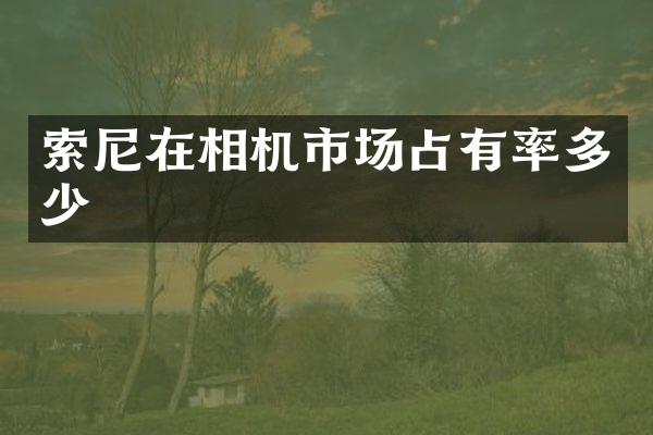 在相机市场占有率多少