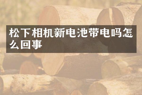相机新电池带电吗怎么回事