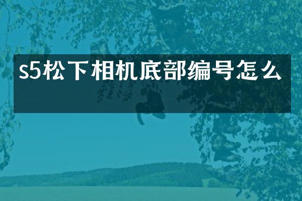 s5相机底部编号怎么看