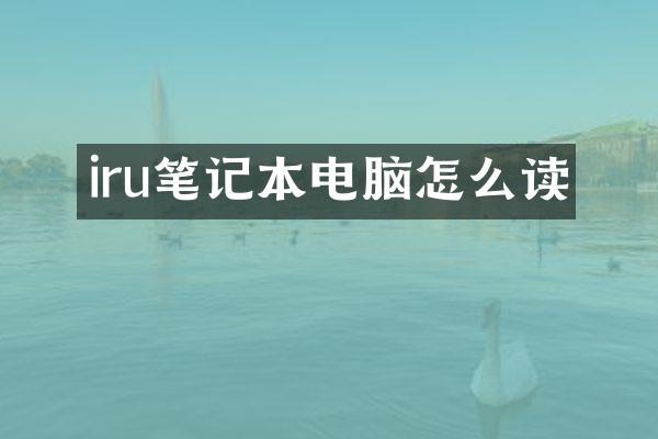 iru笔记本电脑怎么读