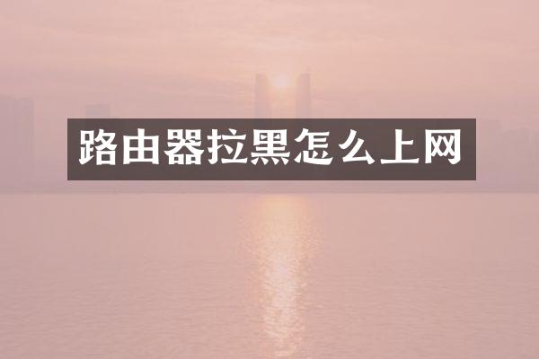 路由器拉黑怎么上网