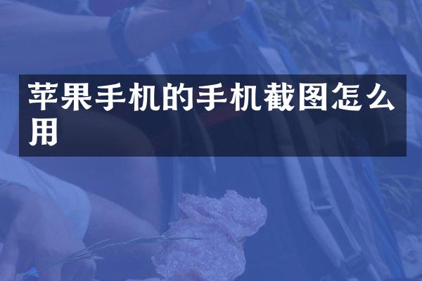 苹果手机的手机截图怎么用
