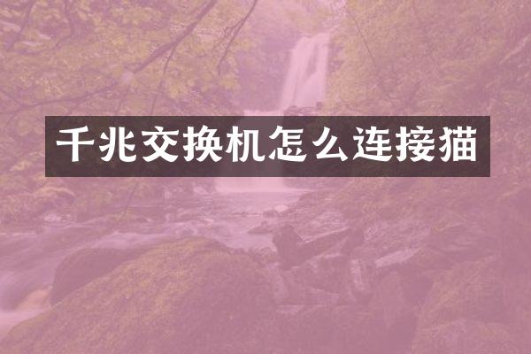 千兆交换机怎么连接猫