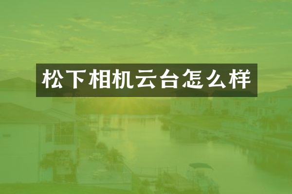 相机云台怎么样