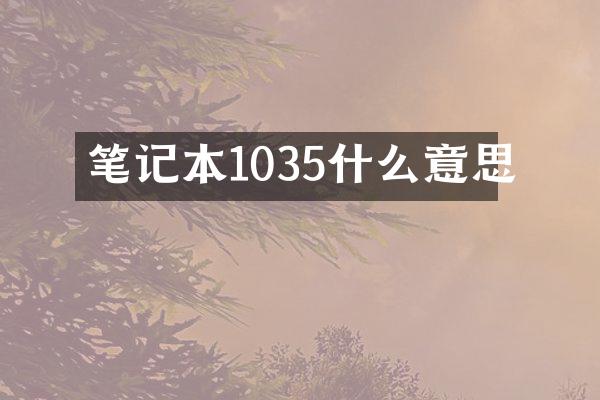 笔记本1035什么意思