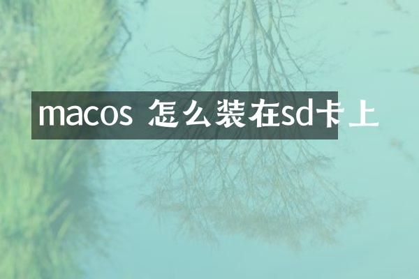 macos 怎么装在sd卡上