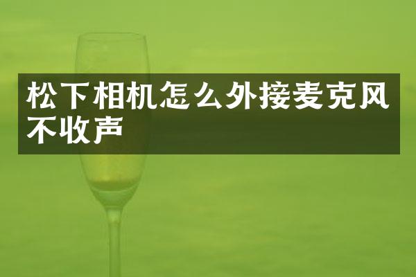 相机怎么外接麦克风不收声