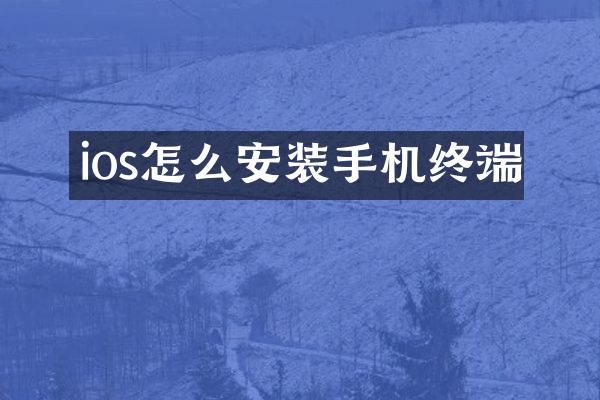 ios怎么安装手机终端