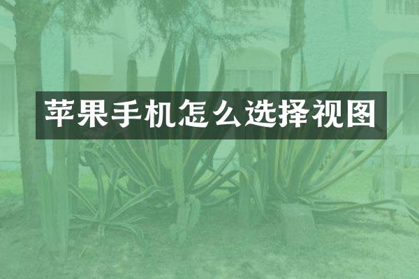 苹果手机怎么选择视图