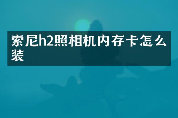 h2照相机内存卡怎么安装