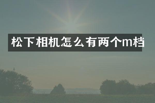 相机怎么有两个m档