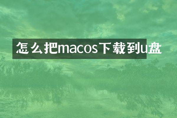 怎么把macos下载到u盘