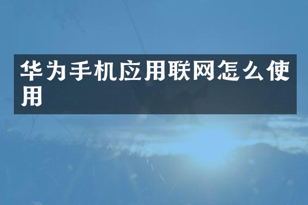 华为手机应用联网怎么使用