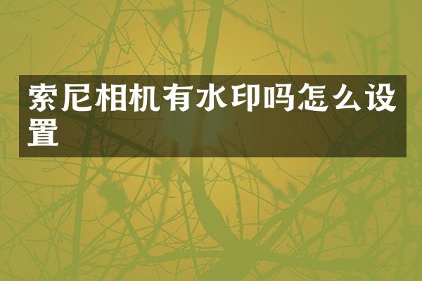 相机有水印吗怎么设置