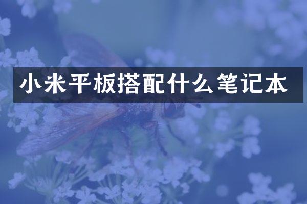 小米平板搭笔记本