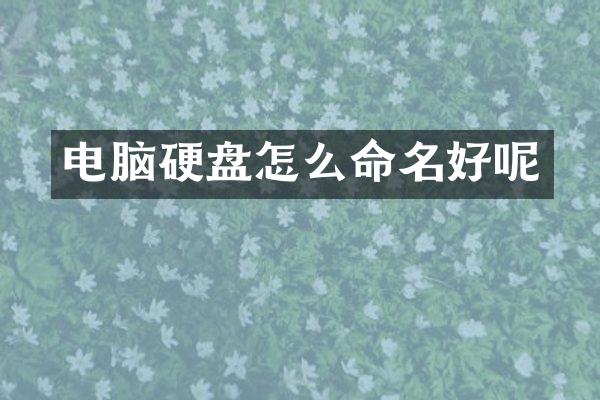电脑硬盘怎么命名好呢