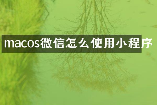 macos微信怎么使用小程序
