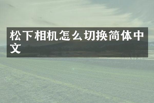 相机怎么切换简体中文