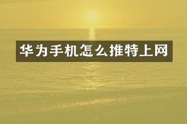 华为手机怎么推特上网