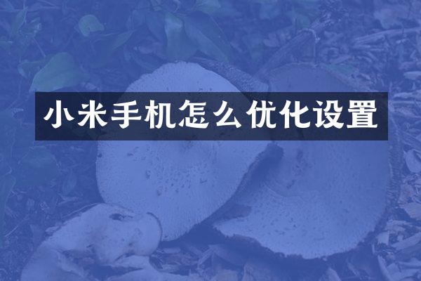 小米手机怎么优化设置