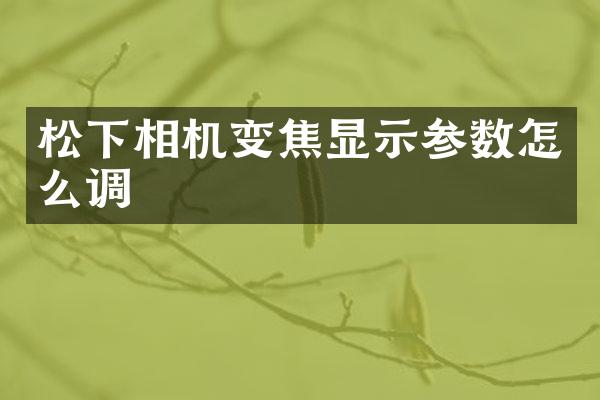 相机变焦显示参数怎么调