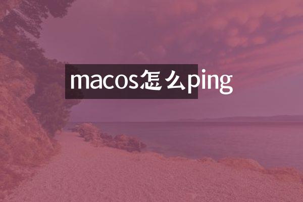 macos怎么ping