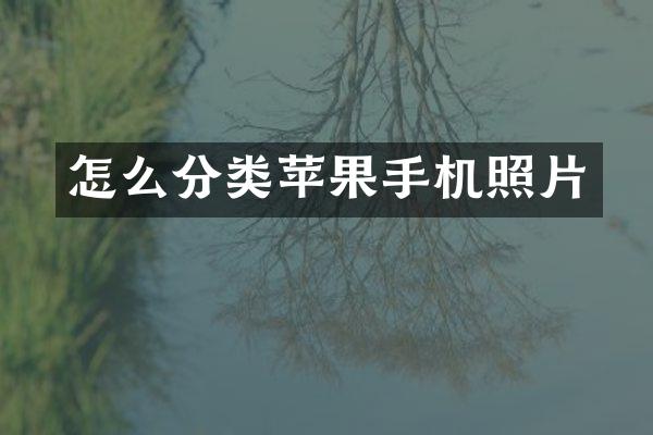 怎么分类苹果手机照片
