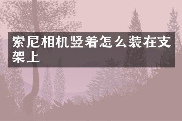 相机竖着怎么装在支架上