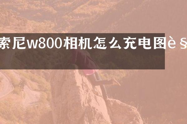 w800相机怎么充电图解