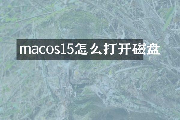 macos15怎么打开磁盘