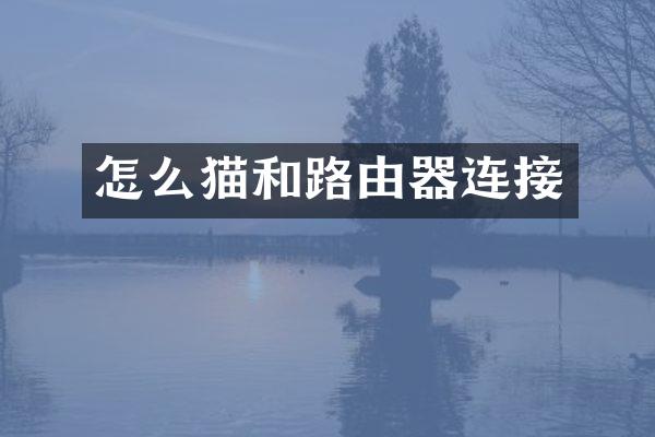 怎么猫和路由器连接