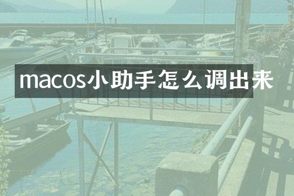 macos小助手怎么调出来