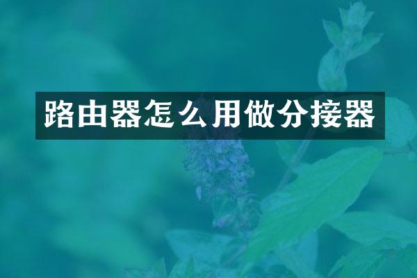 路由器怎么用做分接器
